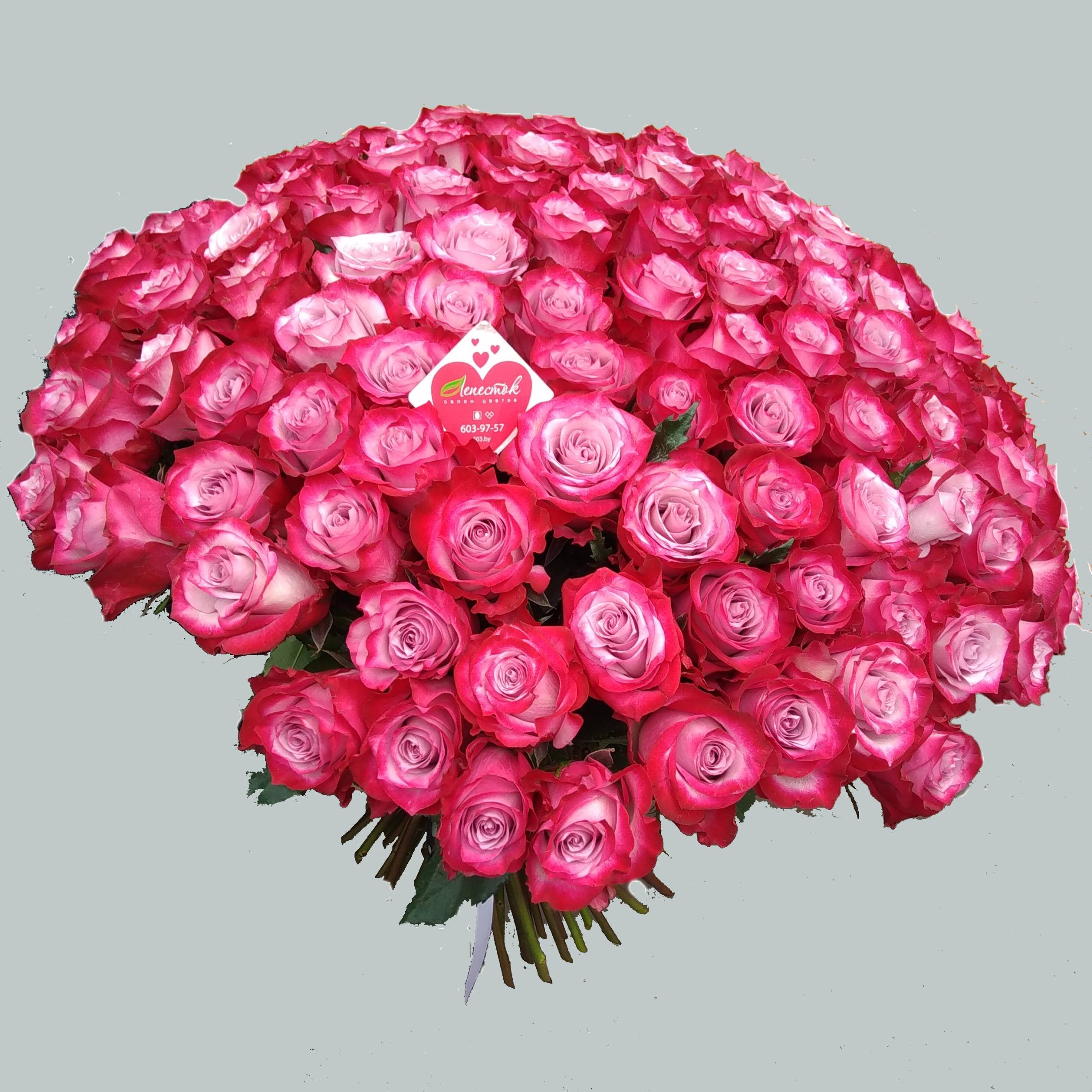 4b4f7416-d3b2-4677-bb2f-33dcb3c04882